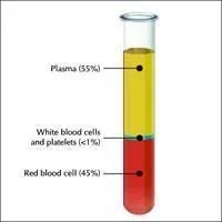 An image explaining what a PRP injection is made of, representing 55% plasma, less than 1% white blood cells and 45% red blood cells. Op. Dr. Halil Buldu